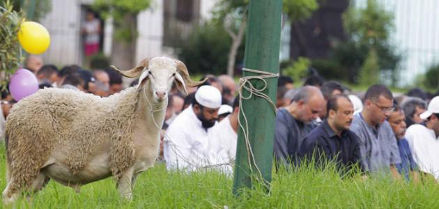 تقاليد أهل مدينة اسدود في عيد الاضحى المبارك